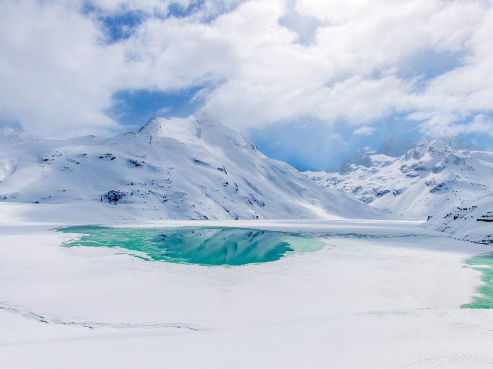 Silvretta Patrick Saely